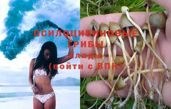 jwh Горняк