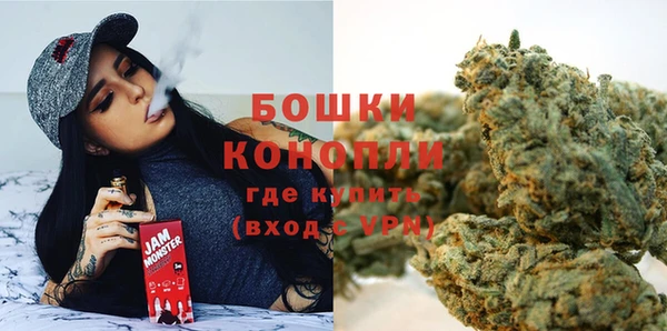 не бодяженный Горно-Алтайск